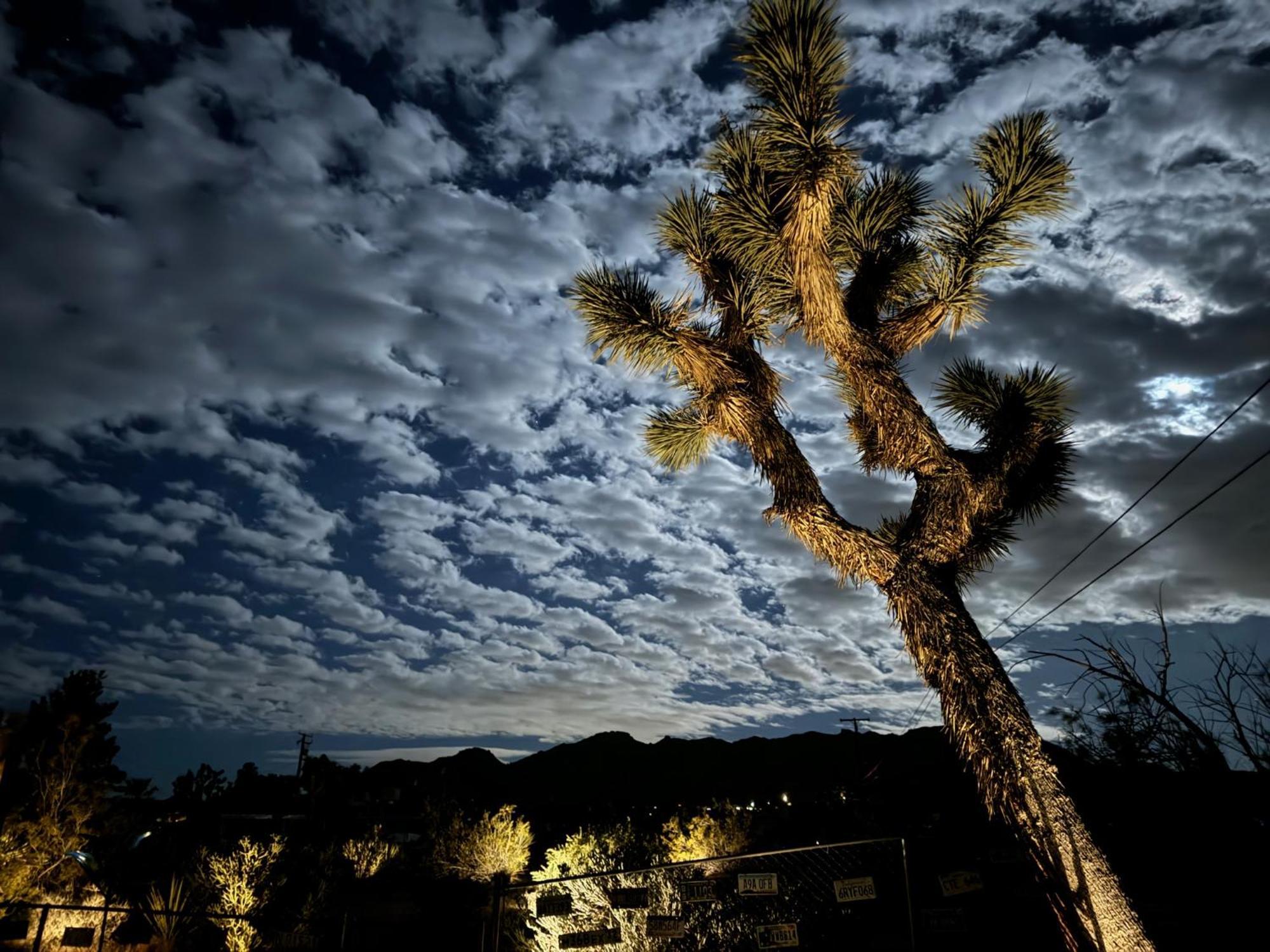 Float Pool, Hot Tub, Sauna, Views, Telescope-Skywatchers Haven Joshua Tree Luaran gambar