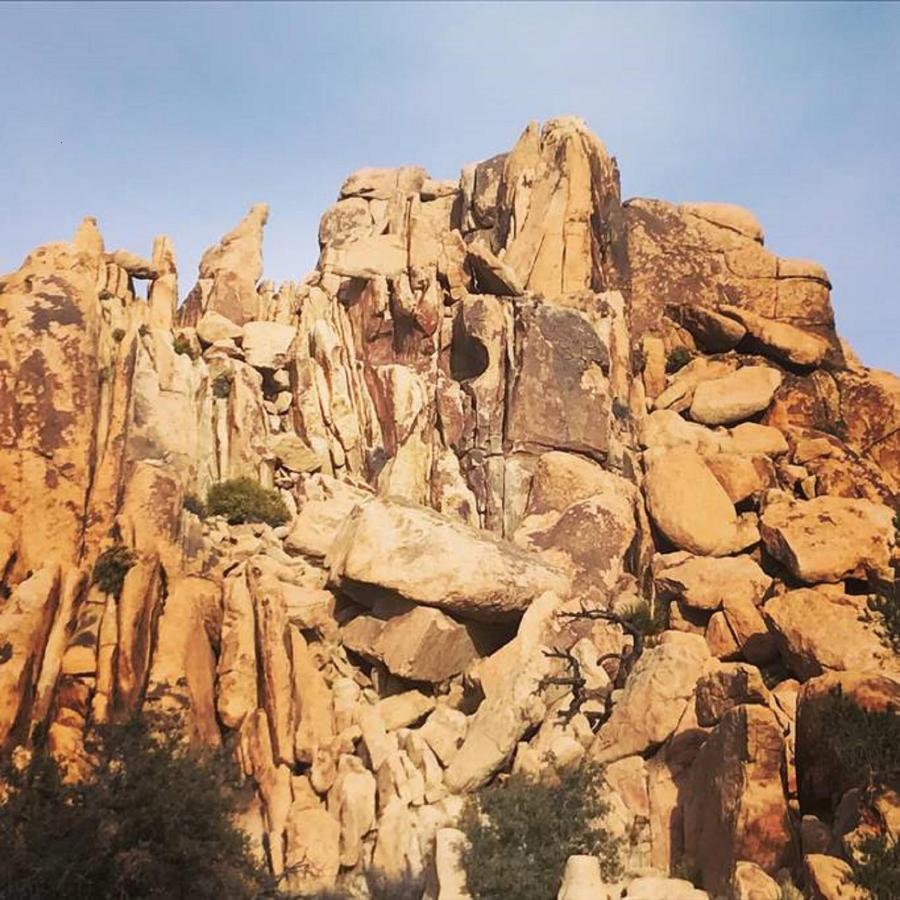 Float Pool, Hot Tub, Sauna, Views, Telescope-Skywatchers Haven Joshua Tree Luaran gambar